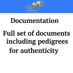 devon rex documentation