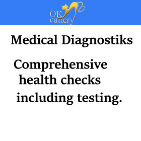 devon rex medical diagnostiks